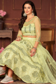 Pear Green Embroidered A-Line Net Lehenga