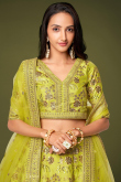 Pear Green Embroidered Silk Mehndi Lehenga Choli 
