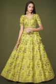 Pear Green Embroidered Silk Mehndi Lehenga Choli 