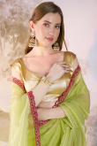 Pear Green Net Embroidered Shimmer Saree