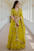 Pear Green Organza Embroidered Flared Style Lehenga