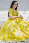 Pear Green Organza Embroidered Flared Style Lehenga