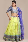 Pear Green Raw Silk A Line Woven Zari Lehenga