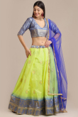 Pear Green Raw Silk A Line Woven Zari Lehenga