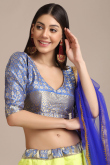 Pear Green Raw Silk A Line Woven Zari Lehenga