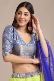Pear Green Raw Silk A Line Woven Zari Lehenga