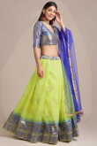 Pear Green Raw Silk A Line Woven Zari Lehenga