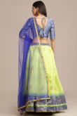 Pear Green Raw Silk A Line Woven Zari Lehenga