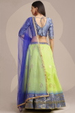 Pear Green Raw Silk A Line Woven Zari Lehenga