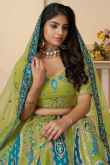 Pear Green Silk Blend Embroidered Flared Style Lehenga