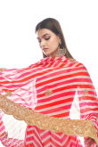 Pink Organza Embroidered Lehenga