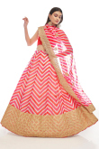 Pink Organza Embroidered Lehenga