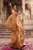 Light Peach Silk Saree With Velvet Blouse