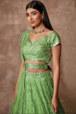 Pistachio Green Embroidered Organza Flared Style Lehenga 