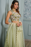 Pistachio Green Net Embroidered Flared Style Lehenga