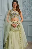Pistachio Green Net Embroidered Flared Style Lehenga