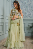 Pistachio Green Net Embroidered Flared Style Lehenga
