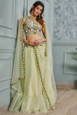 Pistachio Green Net Embroidered Flared Style Lehenga
