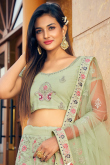 Pistachio Green Net Embroidered Lehenga