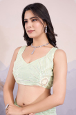 Pistachio Green Net Embroidered Light Weight Saree 