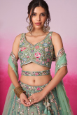 Pistachio Green Net Embroidered Panelled Style Lehenga 