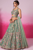 Pistachio Green Net Embroidered Panelled Style Lehenga 