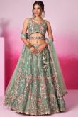 Pistachio Green Net Embroidered Panelled Style Lehenga 