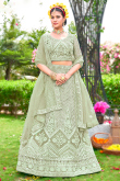 Pistachio Green Net Resham Embroidered Flared style Lehenga