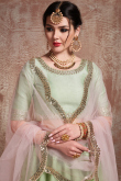 Pistachio Green Sequins Embroidered Net Flared Lehenga 
