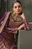 Plum Purple Georgette Embroidered Panelled Lehenga