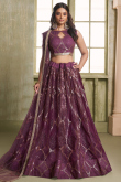 Plum Purple Net Embroidered Flared Style Lehenga