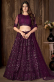 Plum Purple Net Embroidered Panelled Style Lehenga