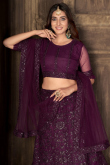 Plum Purple Net Embroidered Panelled Style Lehenga