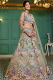 Powder Blue Net Embroidered Panelled Style Lehenga