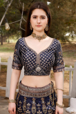 Printed Navy Blue Satin Panelled Style Lehenga 