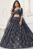 Prussian Blue Mirror Embroidered Net Flared Style Lehenga 