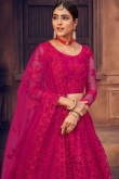 Rani Pink Net A Line Lehenga