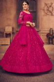 Rani Pink Net A Line Lehenga