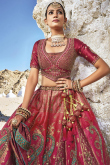 Rani Pink Woven Zari Silk Panelled Style Lehenga