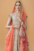 Raw Silk Beige Zari Embroidered Lehenga