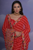 Red Georgette Printed Leheriya Saree