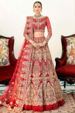 Net Lehenga with Zari Embroidery in Red for Party 