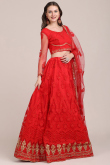 Lehenga in Red Net for Sangeet with Zari embroidery