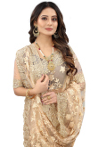 Resham Embroidered Net Light Beige Saree