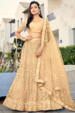 Resham Thread Embroidered Dark Beige Lehenga 
