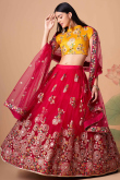 Resham Thread Embroidered Net Cherry Red Lehenga