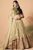 Resham Thread Embroidered Net Pear Green Lehenga