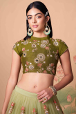 Resham Thread Embroidered Net Pear Green Lehenga