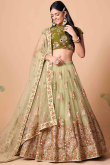 Resham Thread Embroidered Net Pear Green Lehenga