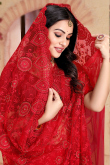 Resham Thread Embroidered Net Red Saree